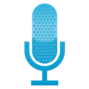 Easy Voice Recorder Pro