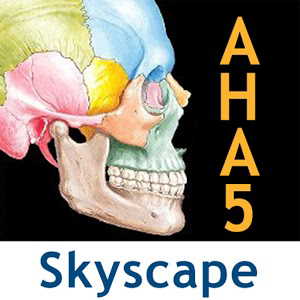 Netter's Atlas: Human Anatomy